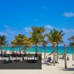 Investment Banking Spring Weeks